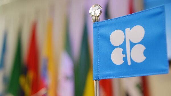 Эксперт прокомментировал выход ОАЭ из ОПЕК