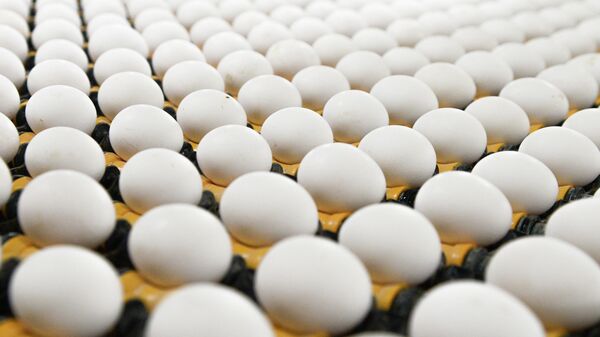 В Германии сообщили о следах антибиотиков в яйцах с Украины