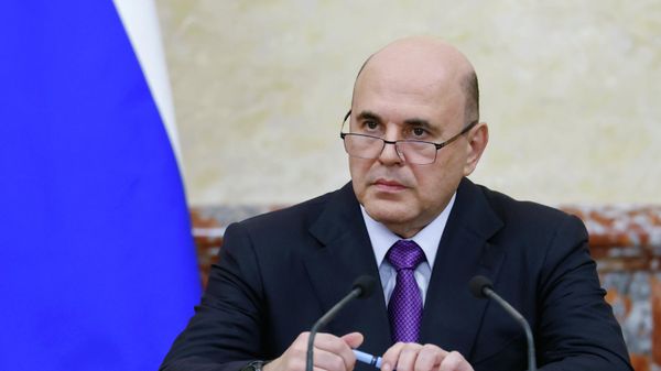 Мишустин предложил Турчину обсудить вопросы углеводородов и энергетики