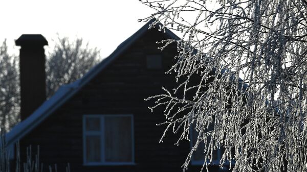 Дачников предупредили об изменении правил использования участков с 1 марта
