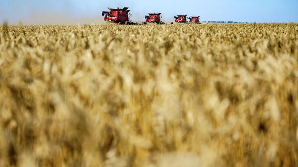 Мишустин рассказал о новых мерах поддержки агропромышленного бизнеса