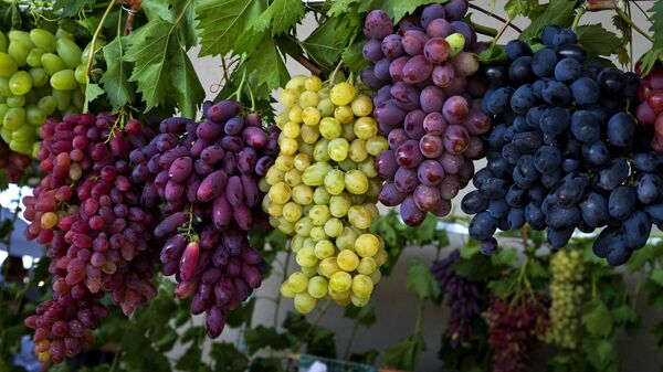 Россия ограничит ввоз косточковых плодов и винограда из Армении