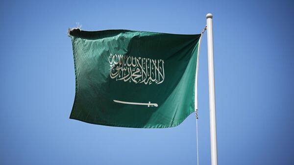 Эксперт назвала области делового сотрудничества России и Саудовской Аравии