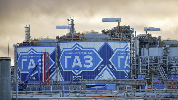 ЕС вдвое сократил импорт российского СПГ в январе