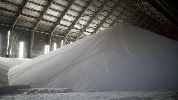 Филиппины ведут переговоры с Россией и Белоруссией о поставках удобрений