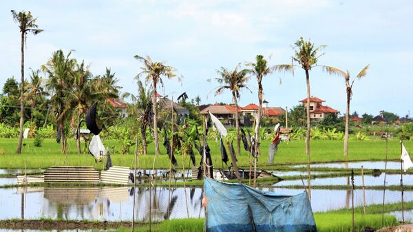 На Бали рассказали о формировании "русской экономики"