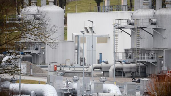 Германия движется к газовому кризису, заявил лидер АдГ