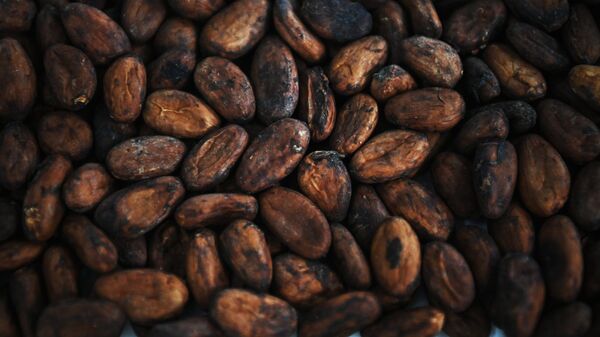 Мировые цены на какао-бобы резко снизились