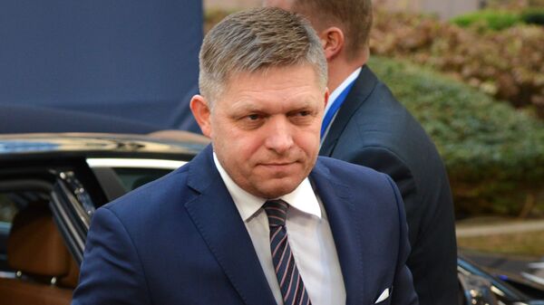 Словакия заинтересована во взаимовыгодных отношениях с Россией, заявил Фицо