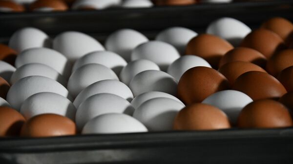 Глава ФАС рассказал о ценовой ситуации на рынке яиц