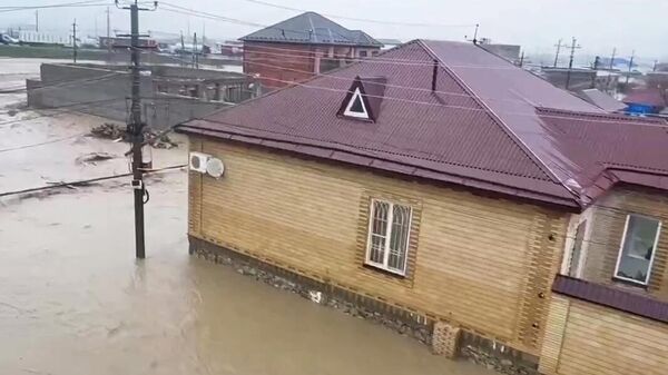 В Дагестане из-за обильных дождей пострадали посевы и плантации