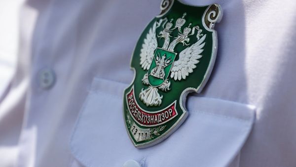 Россельхознадзор ограничит ввоз ряда продукции из Узбекистана