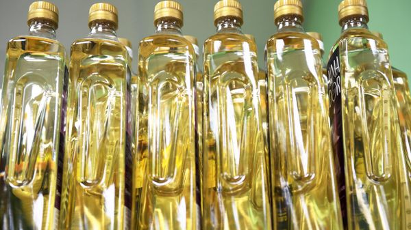 Россия нарастила производство растительных масел