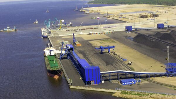 Началась проверка после навала судна на причал в порту Усть-Луга