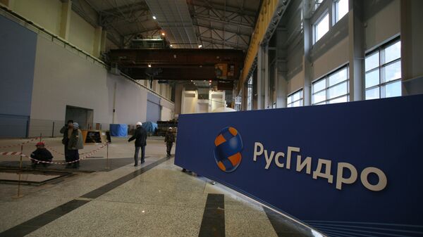 Годовое собрание акционеров "Русгидро" пройдет 30 июня