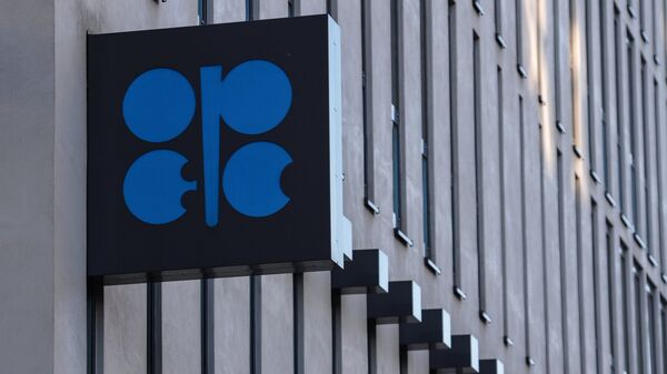 Следующая встреча стран ОПЕК+ пройдет 1 марта