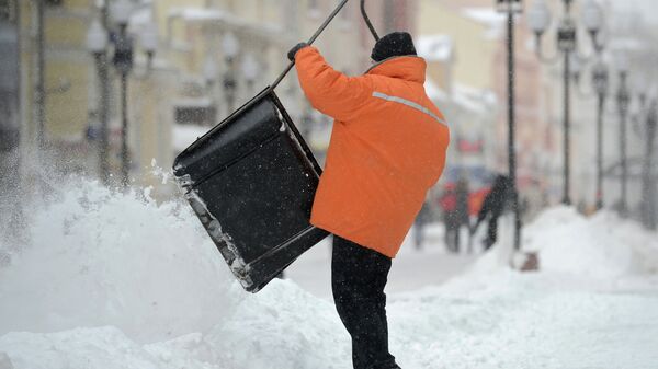 Россияне стали покупать больше лопат на маркетплейсах