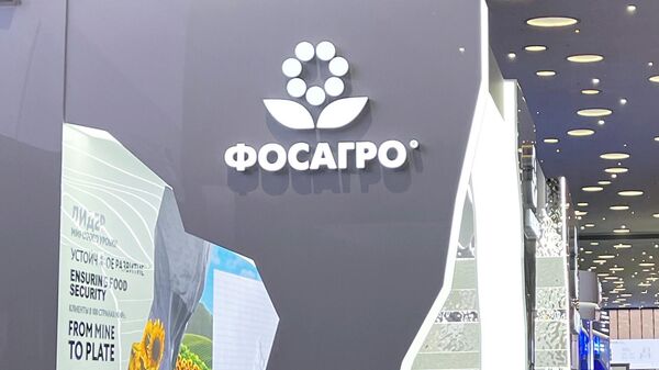 Совет директоров "Фосагро" посоветовал не выплачивать дивиденды за 2025 год