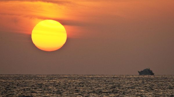 Страховые ставки в Красном море резко взлетели после атак хуситов на суда