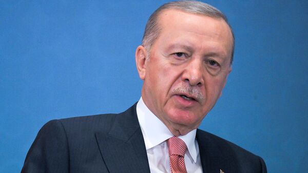 Эрдоган заявил Зеленскому о важности безопасного судоходства в Черном море