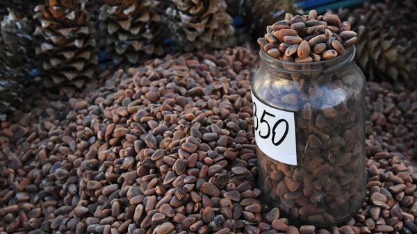 Россия нарастила поставки кедровых орехов в Китай в шесть раз