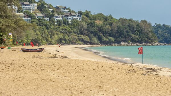 В АТОР назвали самые популярные направления у россиян весной