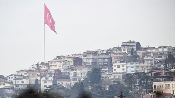 Турция изучит возможность применения канадского реактора на тяжелой воде