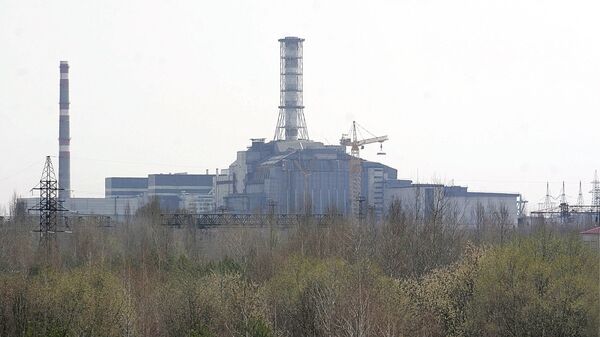 Чернобыльская АЭС на время осталась без питания, заявил Гросси