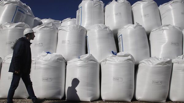 Россия стала лидером по экспорту минеральных удобрений