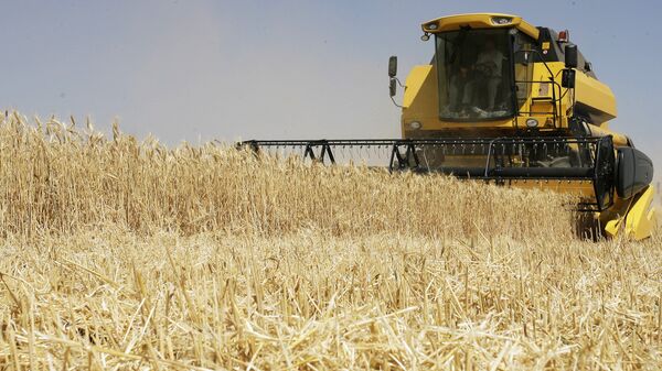 Россия установила рекорд по поставкам в Китай продукции АПК