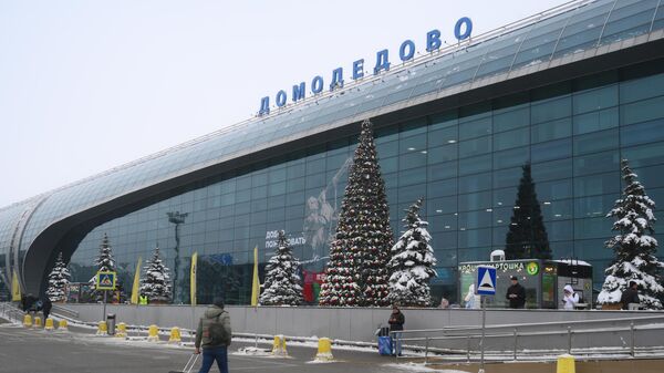 Верховный суд подтвердил законность передачи "Домодедово" государству