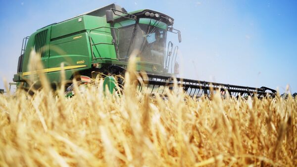 ФАО повысила прогноз урожая зерновых в мире до очередного рекорда