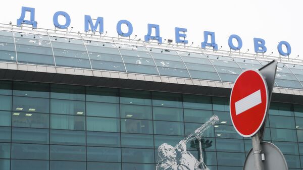 Договор о продаже "Домодедово" будет подписан в течение пяти дней