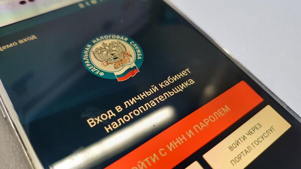 Финансист объяснила, какие операции самозанятых интересуют ФНС