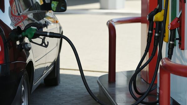 Румыния не имеет средств для поддержки роста цен на нефтепродукты