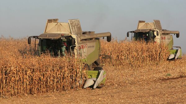 В "Агроэкспорте" заявили о росте экспорта продукции АПК в Турцию