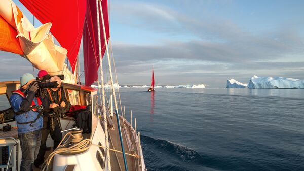 "Раздавим их как жуков": в США пригрозили Европе из-за Гренландии