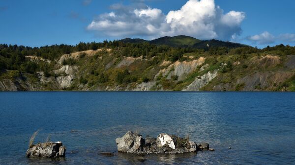 "Осваивать Сахалин". Выпад Японии в адрес России поразил пользователей Сети