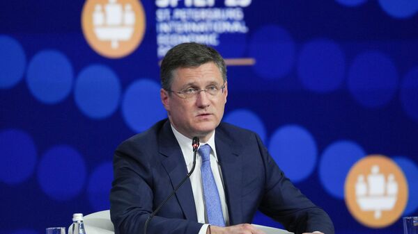 Новак обсудил с Никитиным обеспечение Нижегородской области топливом