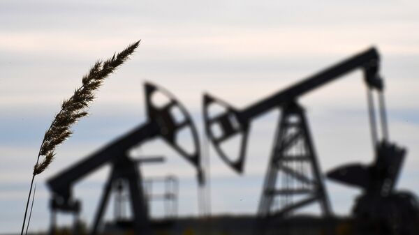 Глава МИД ФРГ рассказал, к чему приведет закрытие Ормузского пролива