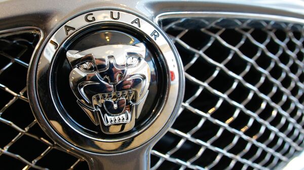 JLR зарегистрировала в России товарный знак с изображением ягуара
