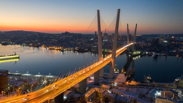 Объем внешней торговли Приморья с Китаем в 2025 году вырос на 15%