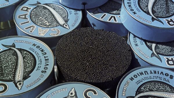 В Вологодской области увеличился объем производства черной икры