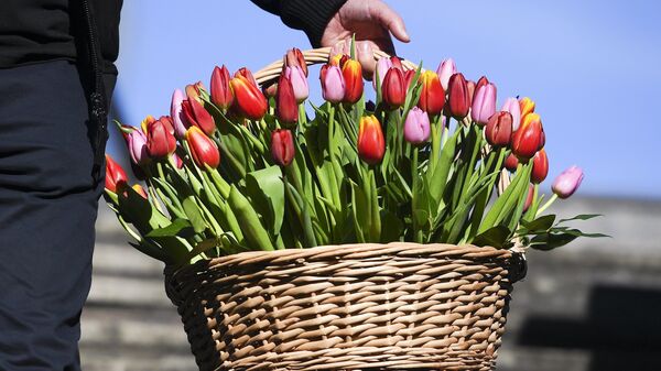 В "Островке" рассказали, как выросли бронирования отелей на 8 Марта