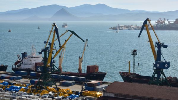 Недружественные страны хотят восстановить связи с Приморьем, заявили в МИД