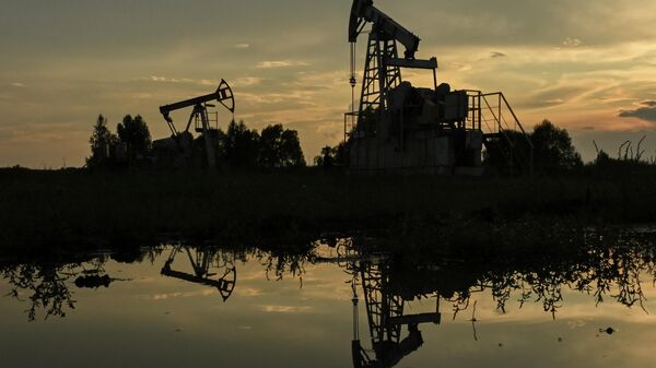 Новак оценил ситуацию с поставками российской нефти