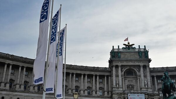 "Уйти в отставку": в Австрии разгорелся скандал из-за Украины