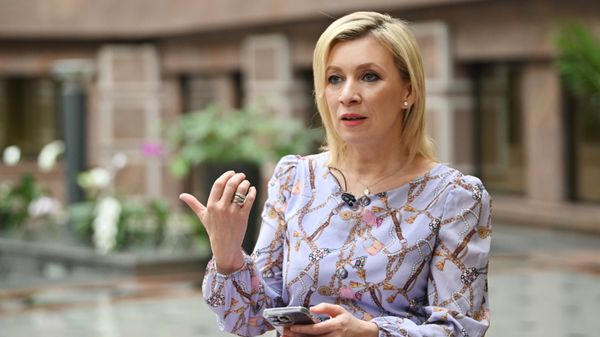 Захарова назвала западные цифровые платформы островами Эпштейна