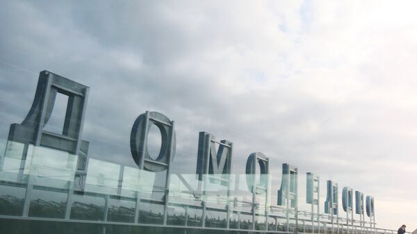 Домодедово требует значительных инвестиций, заявил Минтранс