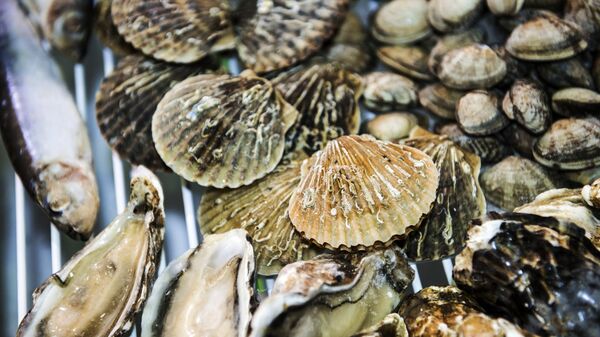 В России хотят запретить приобретать некоторые товары через госзакупки